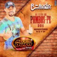 Arreio de Ouro